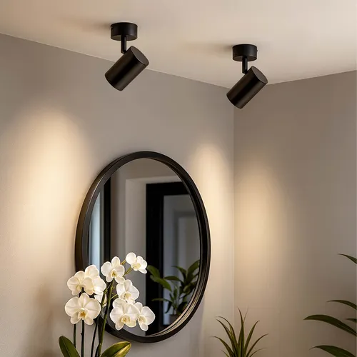 Aranżacja: pojedynczy spot LEDLUX oświetla obraz na ścianie