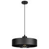 Lampa Wisząca LX- 1127 Czarna 1x E27 LEDLUX