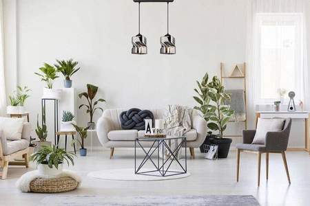 Lampa Wisząca LX- 1155 Czarna 2x E27 LEDLUX