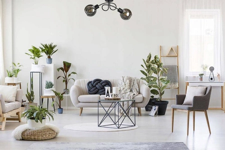 Lampa Sufitowa LX- 1205 Czarna 2x E27 LEDLUX