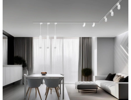 Zestaw Szyna Oświetleniowa Listwa 2m Biała + 10x Reflektor Szynowy Spot Biały LEDLUX