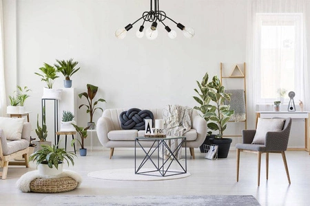 Lampa Sufitowa LX- 1006 5x E27 LEDLUX