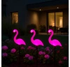 LAMPA SOLARNA Lampy solarne OGRODOWA LED 3x Zestaw Flaming flamingi Solarne LSOL-046 LEDLUX