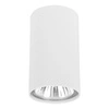 OPRAWA NATYNKOWA Sufitowa HALOGENOWA TUBA LED Biała Gu10 Walec SPOT LX-66 GU10 LEDLUX