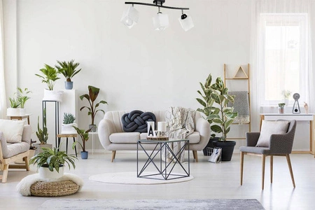 Lampa Sufitowa LX- 1115 Czarna 3x E27 LEDLUX