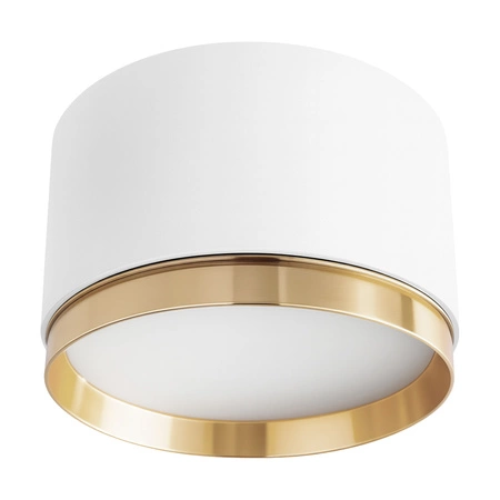 OPRAWA NATYNKOWA Sufitowa HALOGENOWA TUBA LED GX53 Walec SPOT Nowoczesna Biała OPN-017