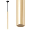 Lampa LX1143 BLACK + GOLD 1x G9