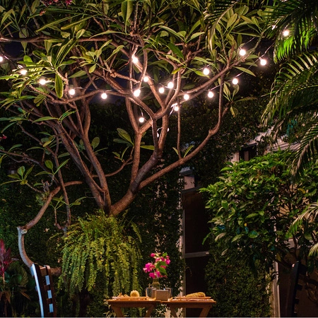 Girlanda Lampa Solarna Świetlna Ogrodowa LSOL-013 LEDLUX